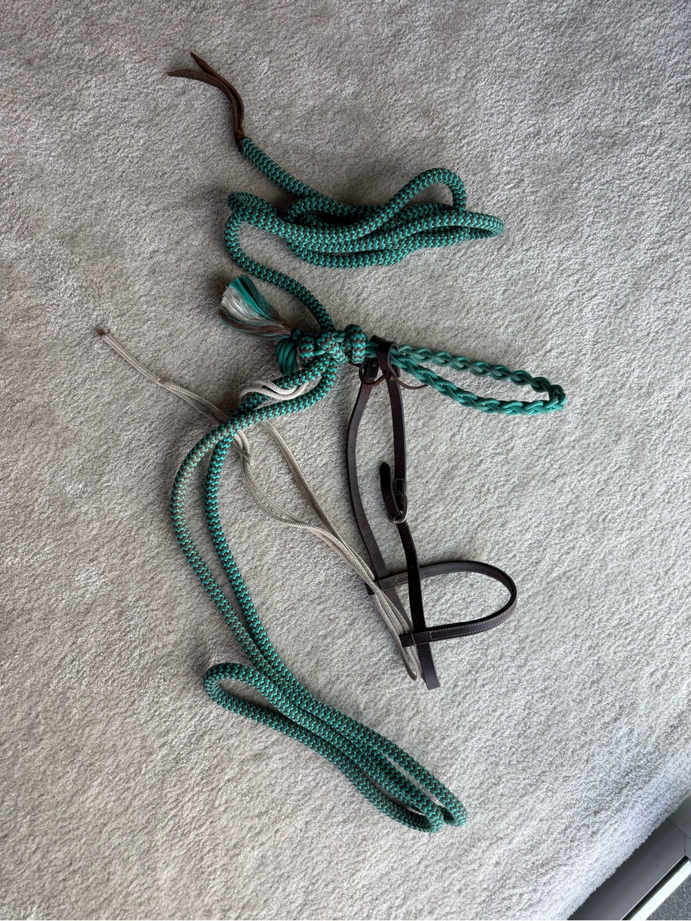 Horse hackamore